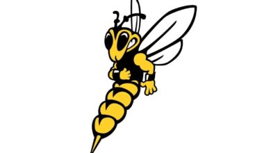 Yellowjacket report: UWS sweeps WIAC hockey newcomers - Duluth News Tribune