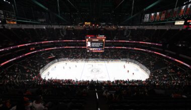 Resilient Ducks halt Caps' 6-game win streak in shootout - The Rink Live