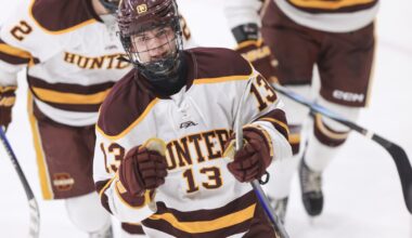 Prep report: Denfeld snaps hockey winless streak - Duluth News Tribune