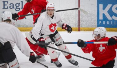 NHL draft picks leading Switzerland on defense, in net as it gears up for World Junior Championship games - Post Bulletin