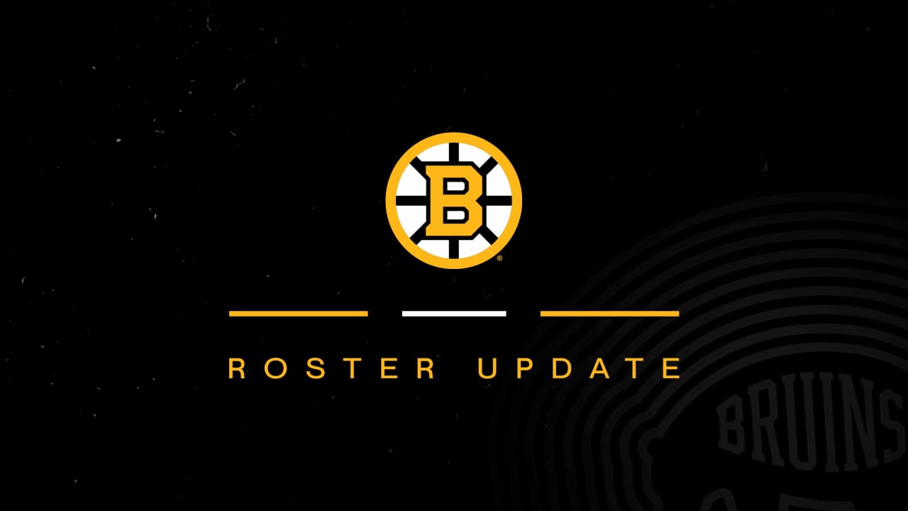 Bruins Activate Viktor Arvidsson | Boston Bruins