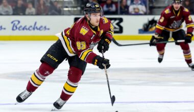 AHL: JAN 21 Chicago Wolves at Cleveland Monsters