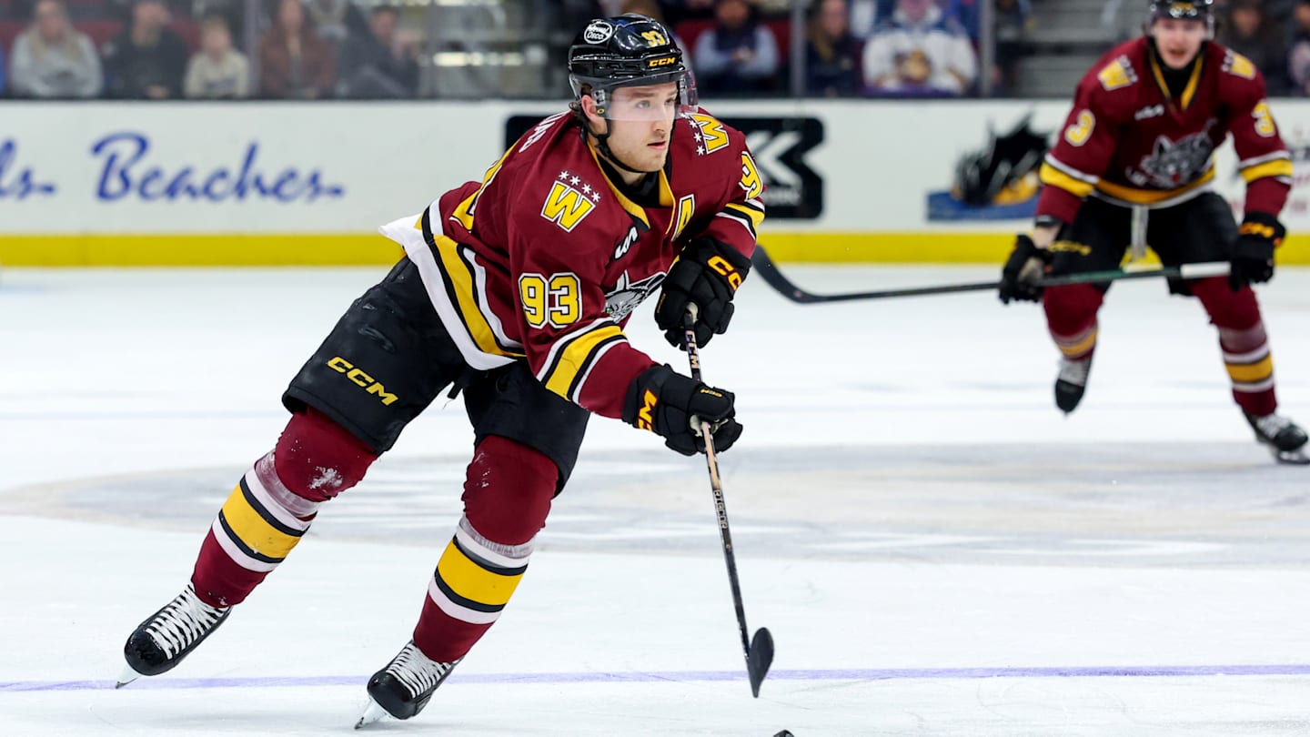 AHL: JAN 21 Chicago Wolves at Cleveland Monsters