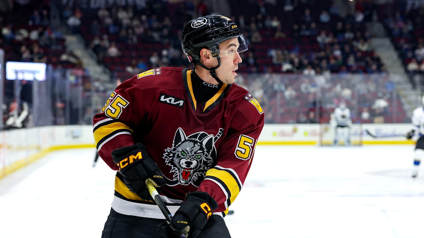 AHL: JAN 22 Chicago Wolves at Cleveland Monsters