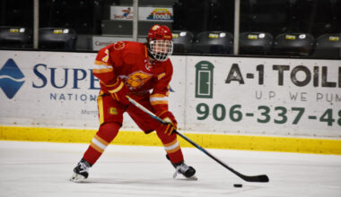 Bulldogs hockey powers its way to win over Jets | News, Sports, Jobs