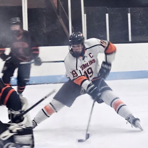 Gremlins hockey rolls to pair of wins over downstate opponents | News, Sports, Jobs