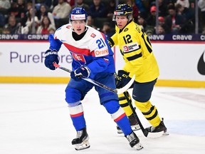Hockey players watch the action