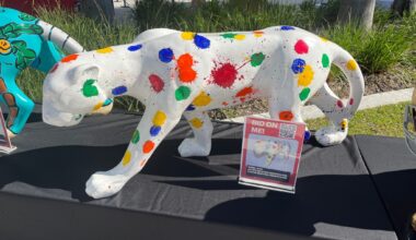 Florida Panthers enlist stars for unique cancer fundraiser, showing it off at Winter Classic | News, Sports, Jobs