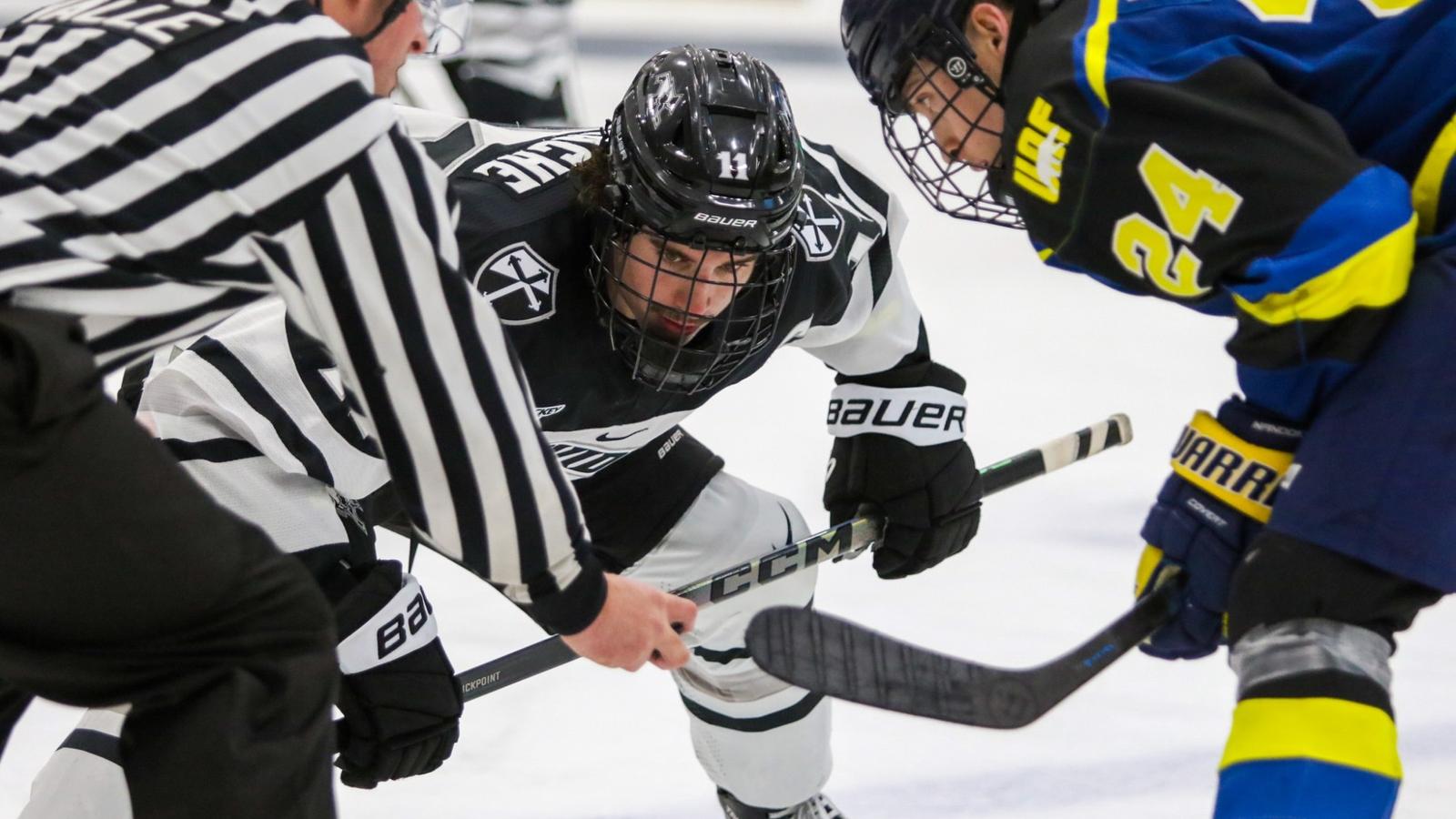 University of Maine Logo