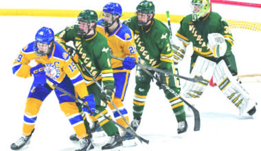 Tough-luck hockey Wildcats lose 2nd straight 2-1 decision at LSSU | News, Sports, Jobs