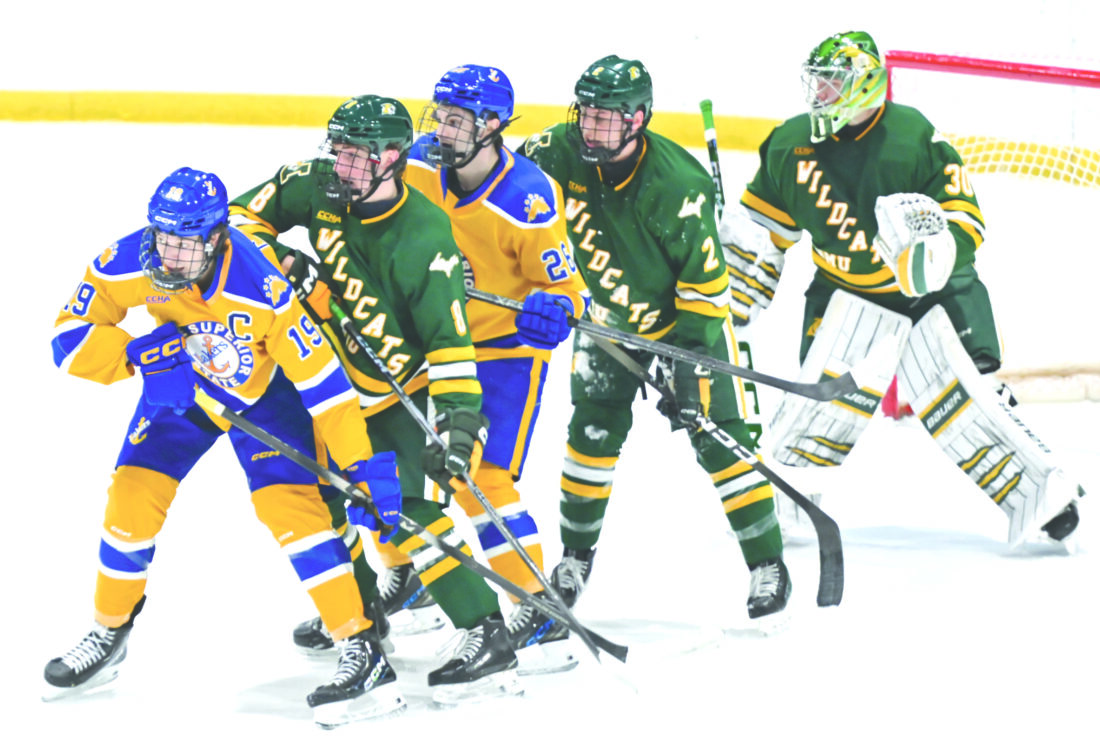 Tough-luck hockey Wildcats lose 2nd straight 2-1 decision at LSSU | News, Sports, Jobs