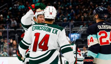 MN Wild Place Two Top Forwards on IR