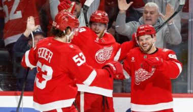 Alex DeBrincat, Red Wings prevail in OT over Senators