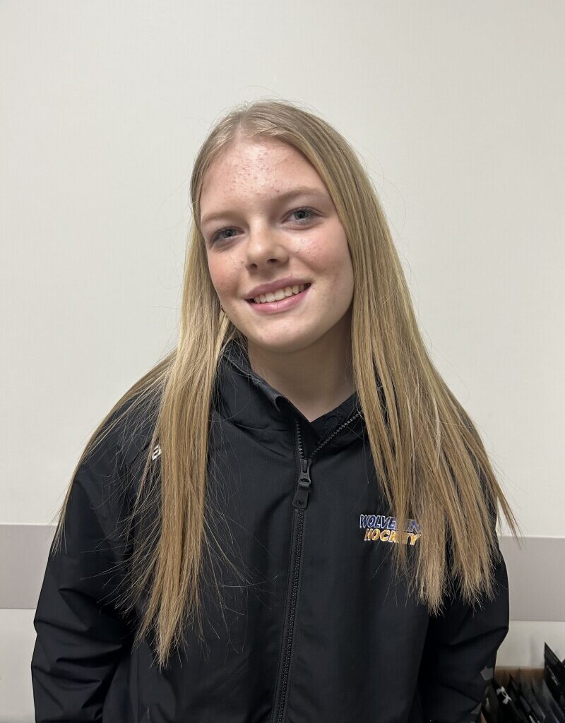 Area Boys Hockey: WDC rallies for OT win - Brainerd Dispatch