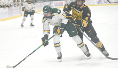 Suddenly hot Wildcats look to build on hockey victory | News, Sports, Jobs