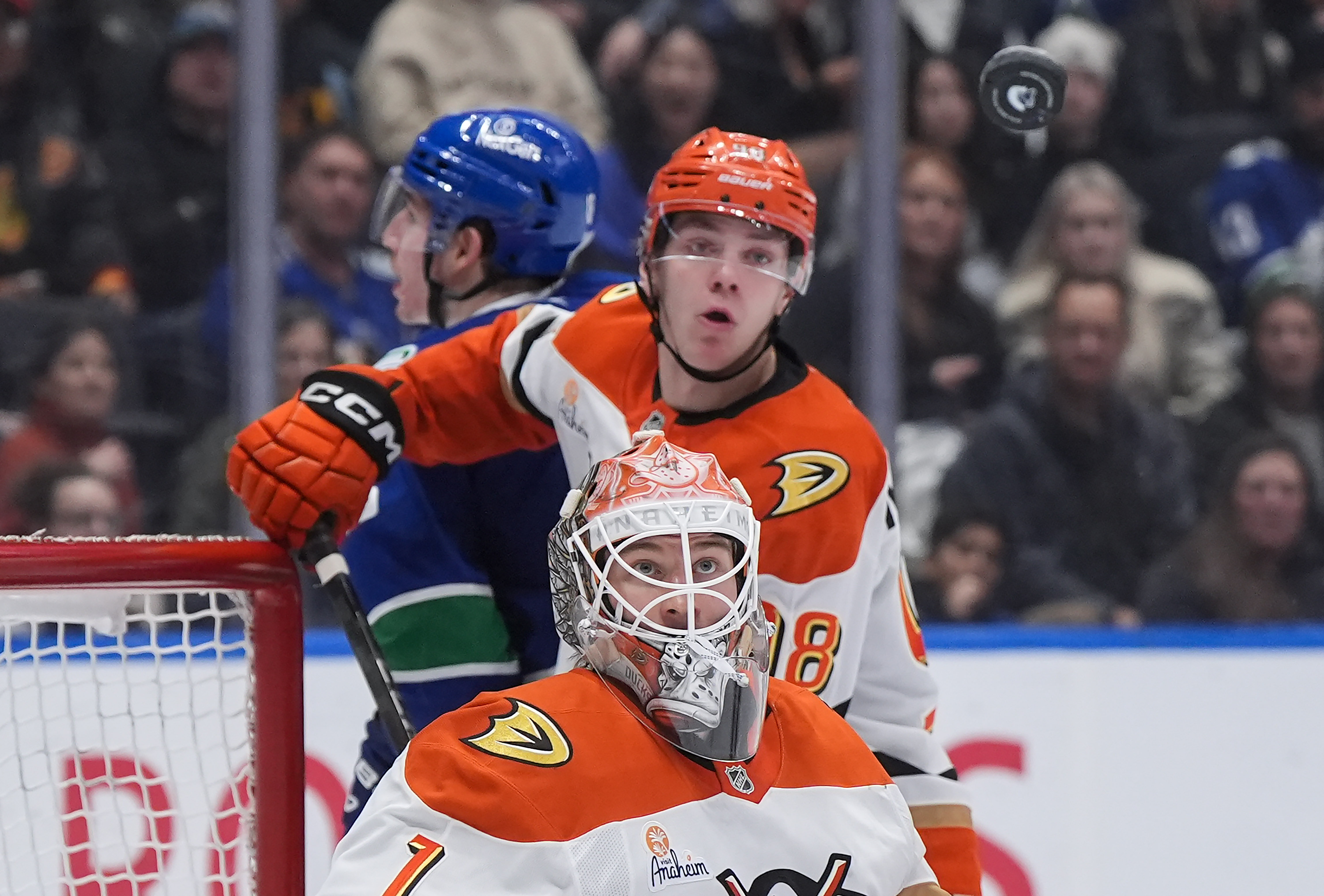 Ducks goaltender Lukas Dostal (1) and Pavel Mintyukov (98) watch...