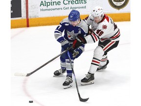 Wolves IceDogs action