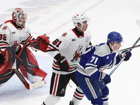 Wolves IceDogs action