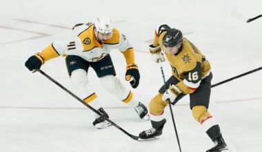 Knights' balanced attack wears down Predators 7-2