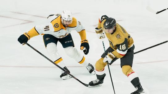 Knights' balanced attack wears down Predators 7-2