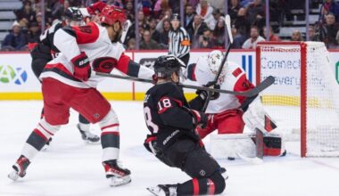 senators, hurricanes bussi