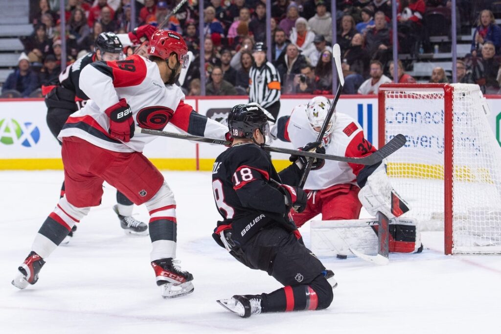 senators, hurricanes bussi
