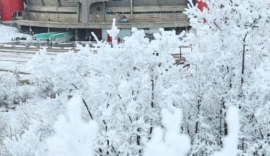 Shane Wright celebrates birthday with go-ahead goal as Kraken beat Flames