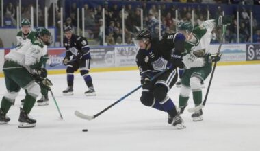 Victoria Royals blueliner Timofei Runtso was ranked 53rd among North American skaters in NHL Central Scouting&rsquo;s mid-term rankings. (Black Press Media file photo)