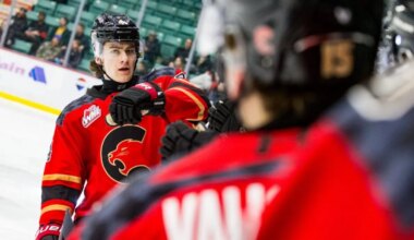 Carels leads at CHLers as six Cougars crack NHL Central Scouting mid-term rankings ahead of 2026 draft