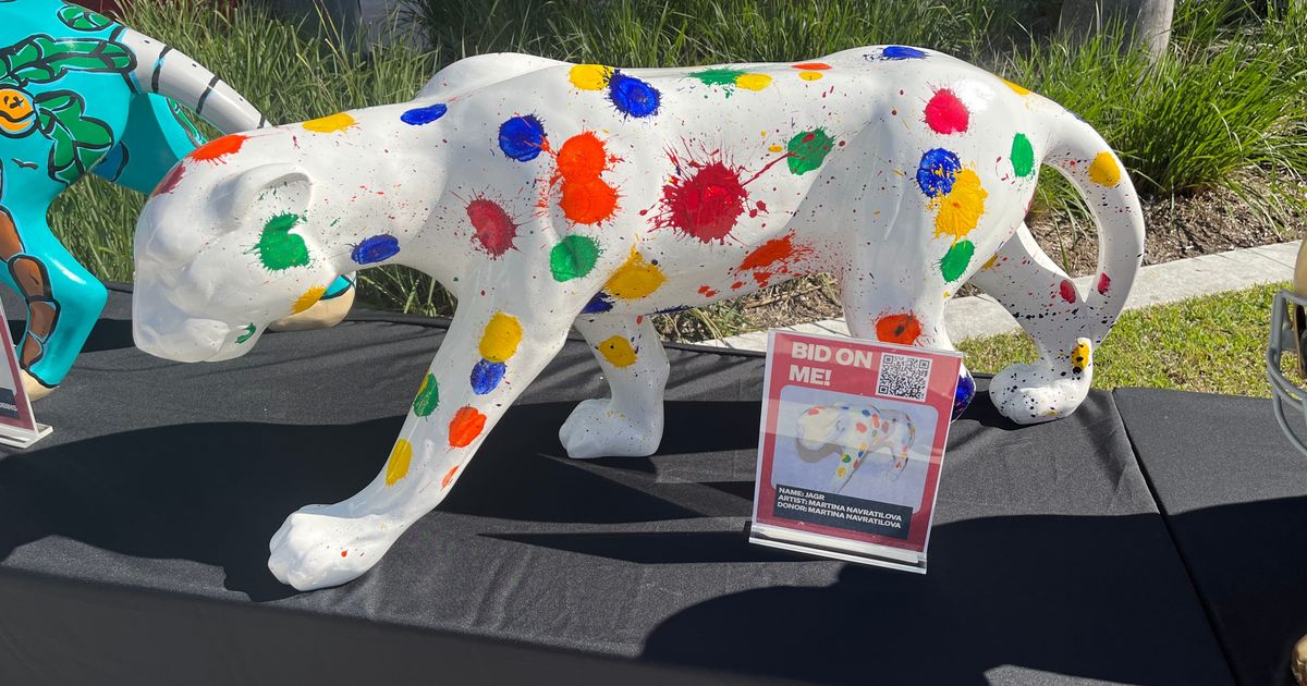 Florida Panthers enlist stars for unique cancer fundraiser, showing it off at Winter Classic :: WRAL.com