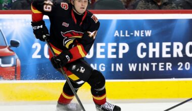 Flames re-assign Andrew Basha to WHL’s Medicine Hat Tigers