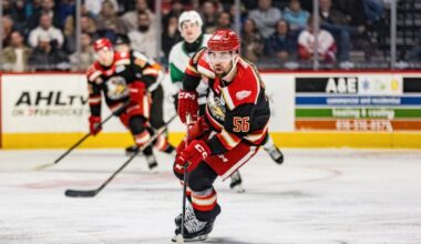 Grand Rapids Griffins | ERIK GUSTAFSSON RECALLED BY DETROIT