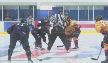 Toledo Mobsters hockey terminates play for remainder of season, owners intend to sell franchise