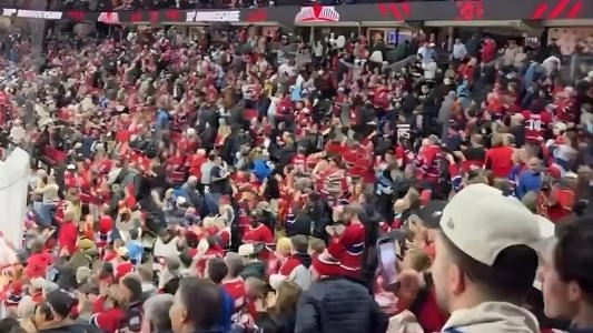 Photo of Habs fans
