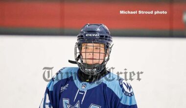 Youth hockey: Wildcats fly past Sachems | Sports