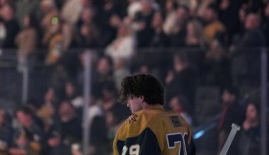 Wild Golden Knights Hockey | National Sports