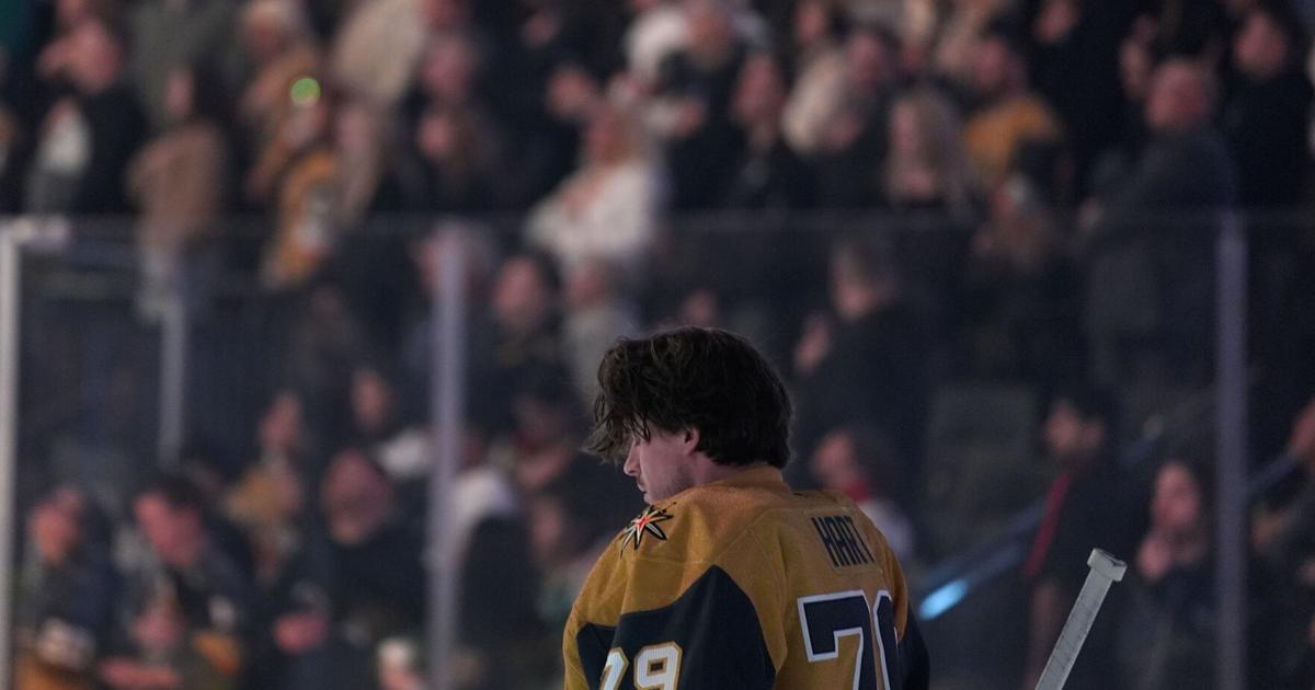 Wild Golden Knights Hockey | National Sports