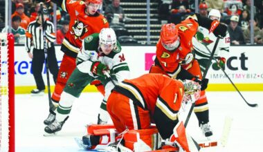 Yurov, Hughes lead surging Wild past Ducks | Sports