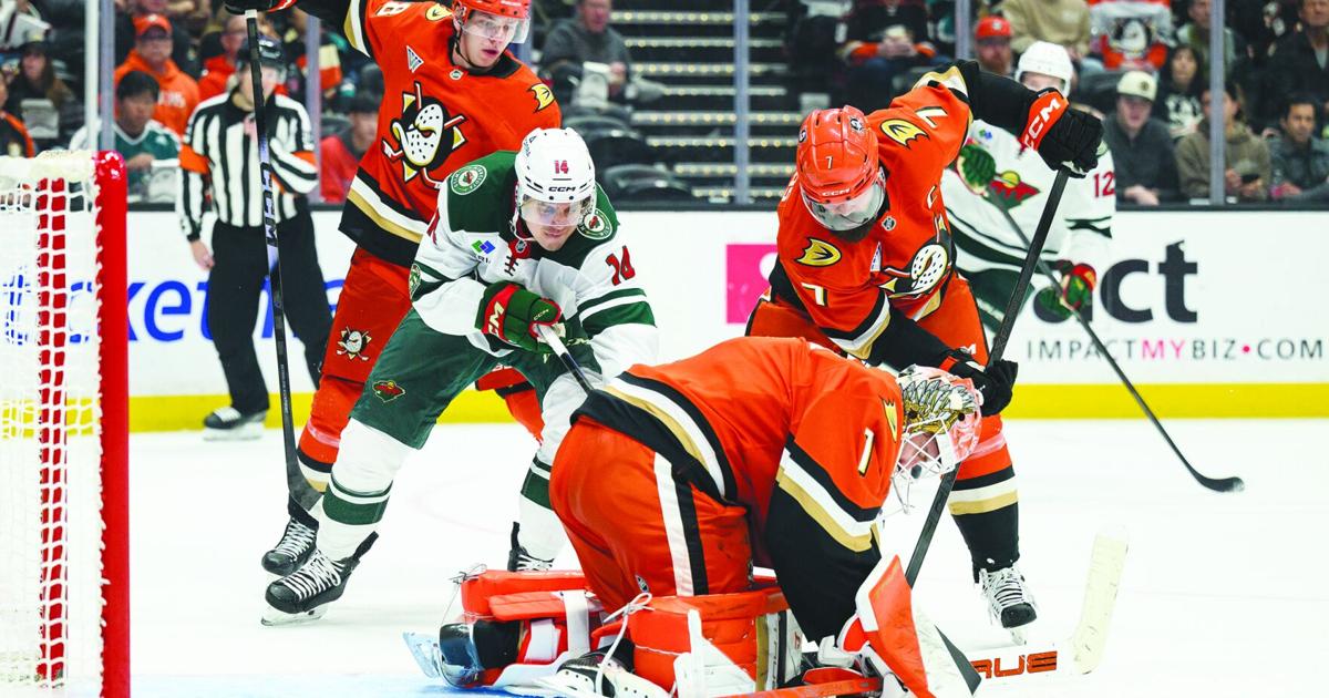 Yurov, Hughes lead surging Wild past Ducks | Sports