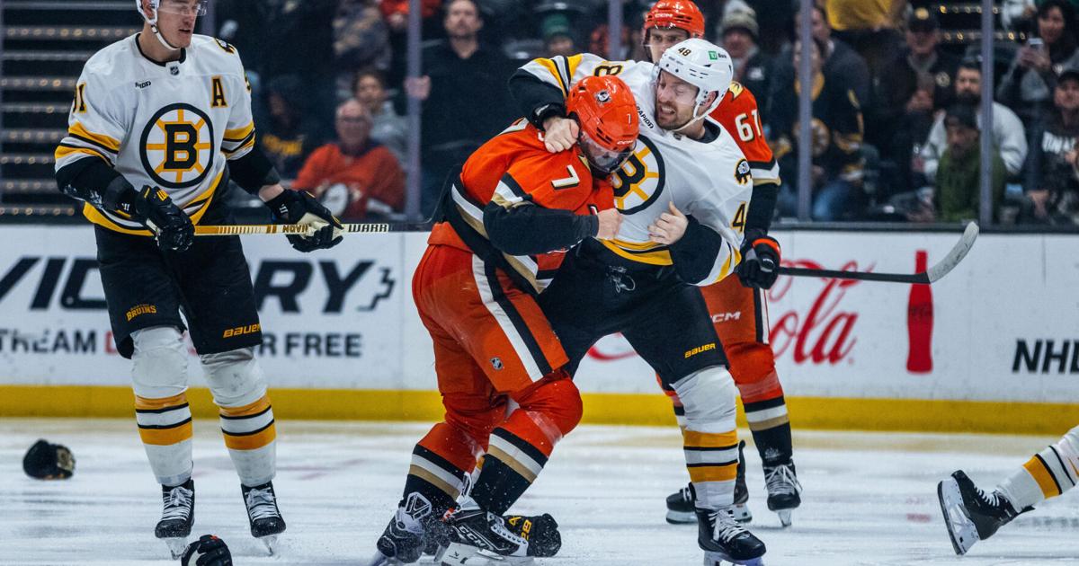 Anaheim Ducks acquire tough forward Jeffrey Viel from Boston Bruins in trade for 4th-round pick | National Sports