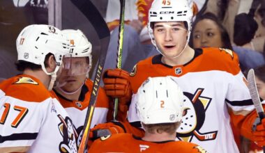 Sennecke scores in OT for 1st NHL hat trick as Ducks rally to beat Flames 4-3 | National Sports