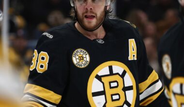 Pastrnak lifts Bruins to 3-2 win over Predators with OT goal | National Sports