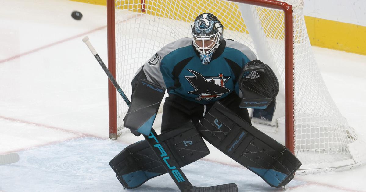 Sharks’ Nedeljkovic explains what’s worked for him during winning streak | Sports