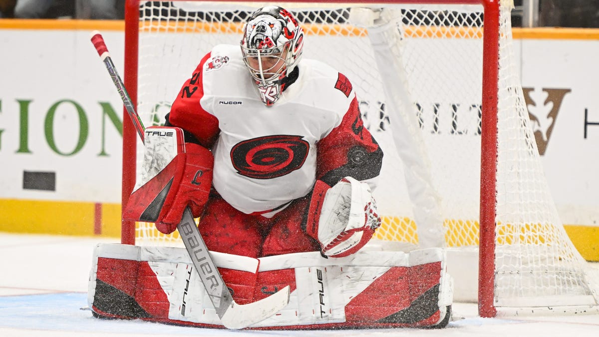 Hurricanes goalie to be out for season