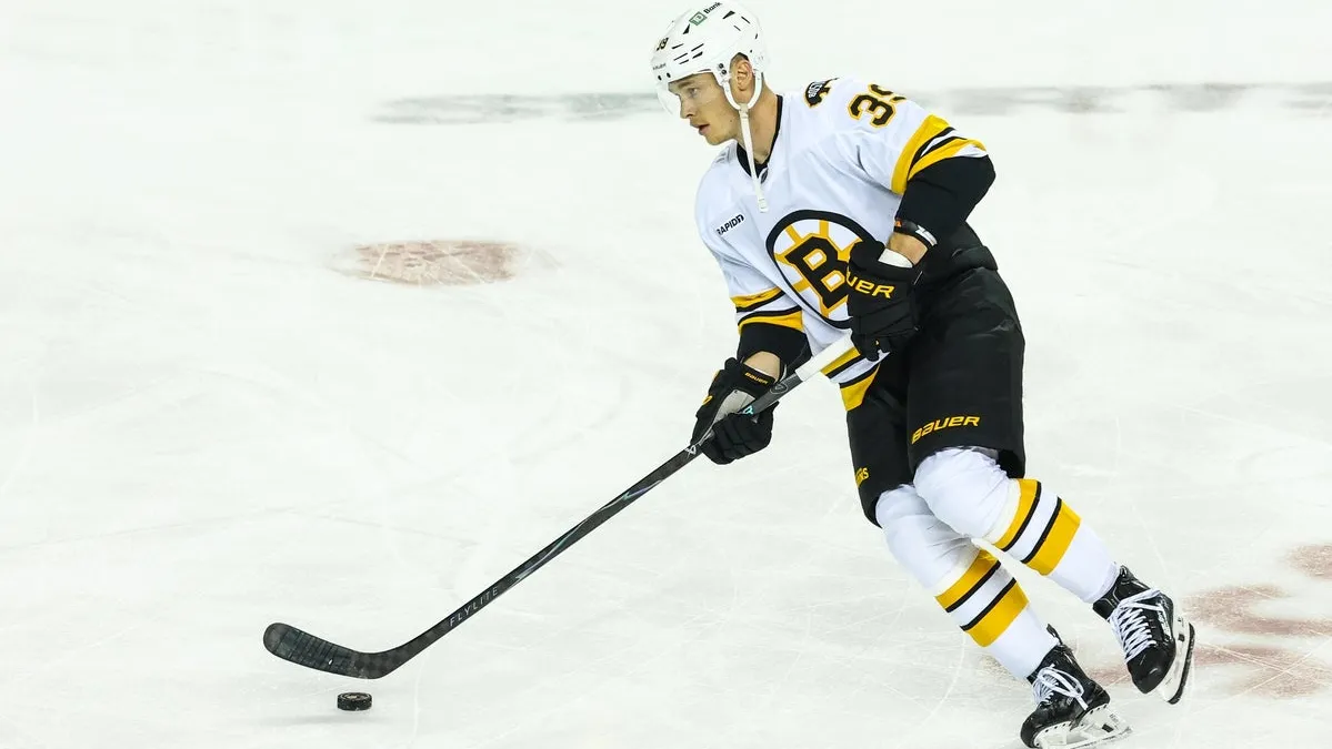 Dallas Stars vs. Boston Bruins odds, tips and betting trends