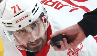 Detroit Red Wings pick up new looks up front to face Ottawa Senators