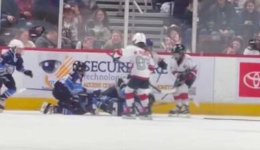 Officials release address youth hockey fight at Hershey Bears game in Pa.