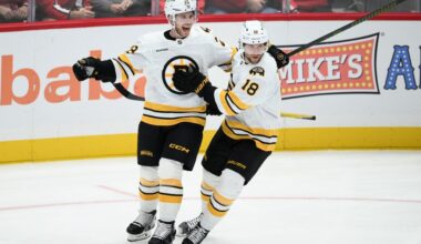 Elias Lindholm, Pavel Zacha out for Stadium Series game