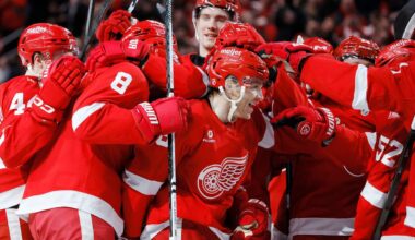 APTOPIX Capitals Red Wings Hockey