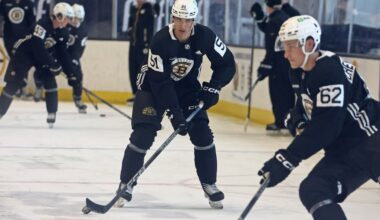 Bruins notebook: Matt Poitras gets call-up